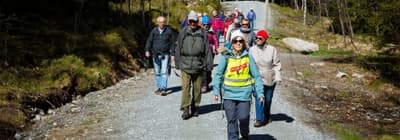 Enkel fottur på Fløyen