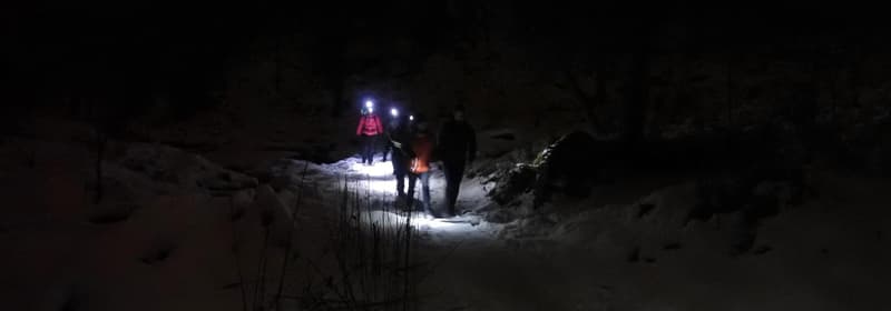 Fløyen - på fine stier med rare navn med Til Topps Bergen