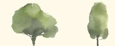 Bergen 2050 - Vil du være med å tenke nytt om fremtiden og klima?