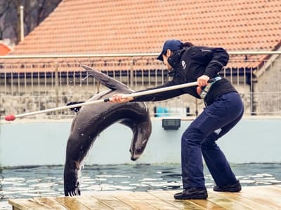 Vinterferieprogram: Sjølvetrening ved hoveddammen