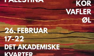 Helaftens loppemarked for Palestina