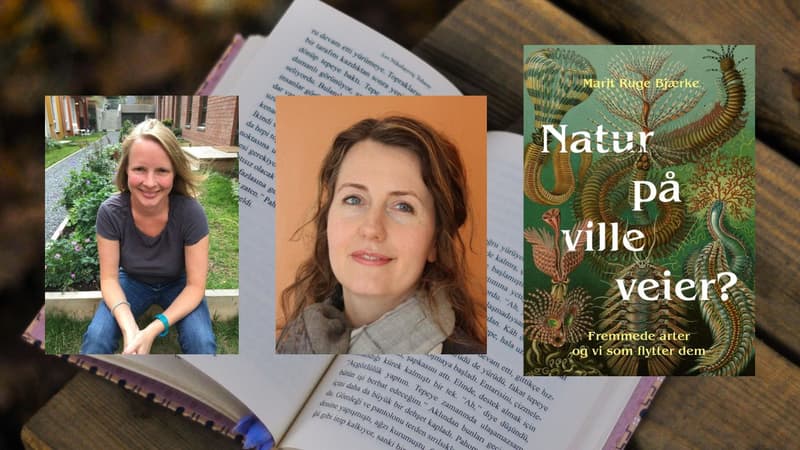 SAK #STEDET: Natur på ville veier?