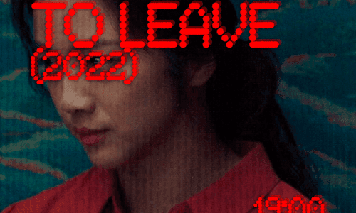 Decision to Leave (2023)